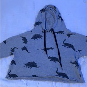 cropped dinosaur hoodie